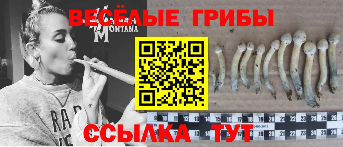 Галлюциногенные грибы GOLDEN TEACHER Истра