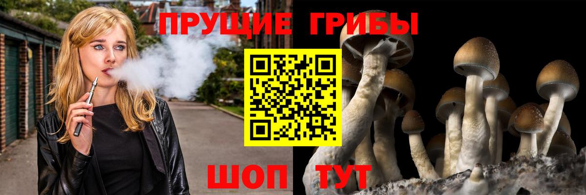 Галлюциногенные грибы Cubensis  Вход с VPN  Истра  Галлюциногенные грибы Magic Shrooms 