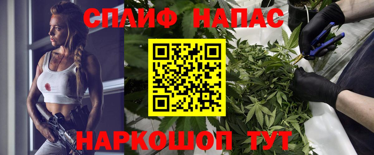 Канабис семена Истра